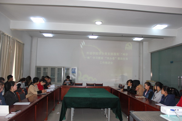 懂球体育员工党支部召开“两学一做”学习教育“回头看”整改工作推进会